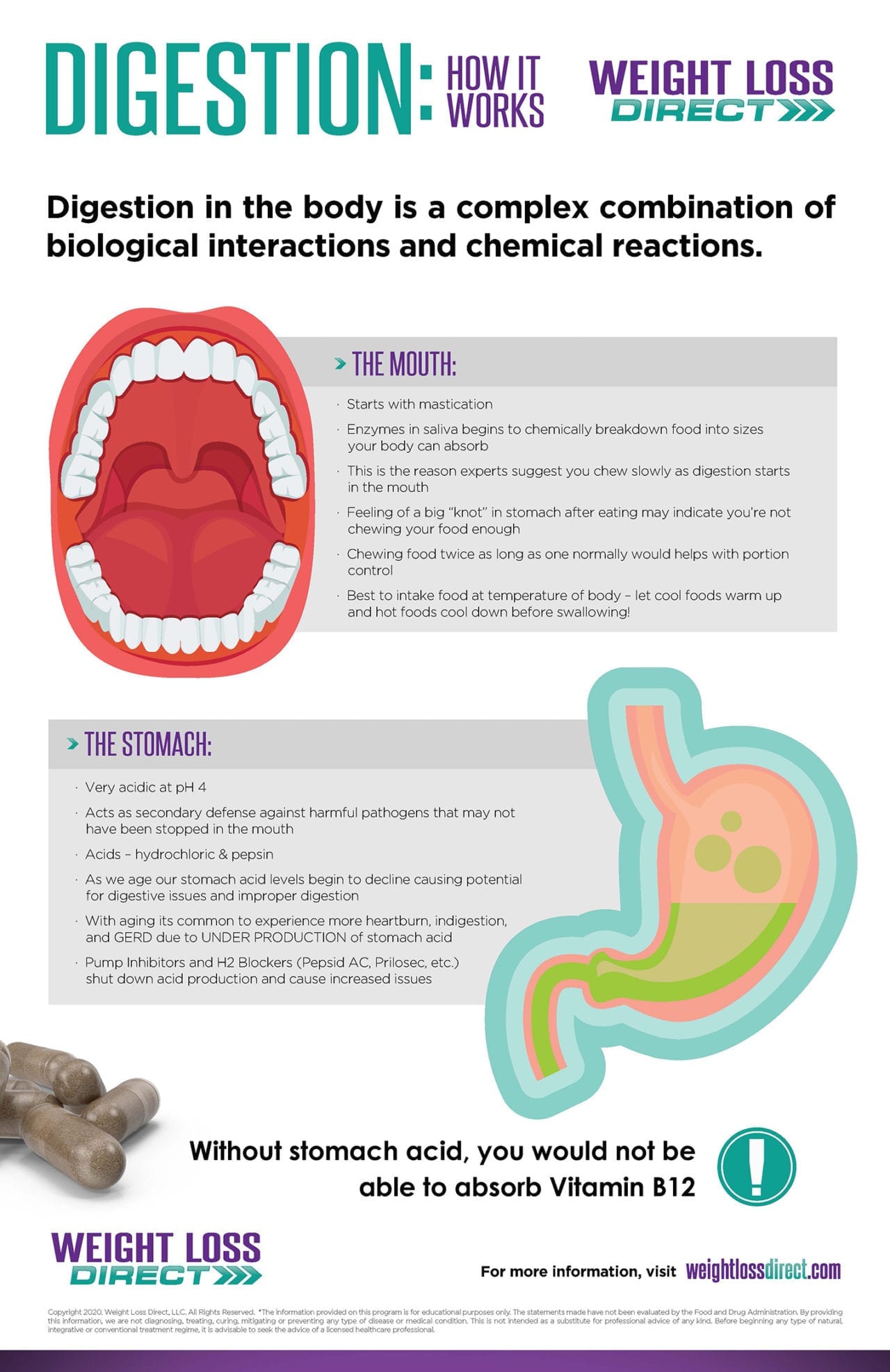 how-digestion-works-weight-loss-direct