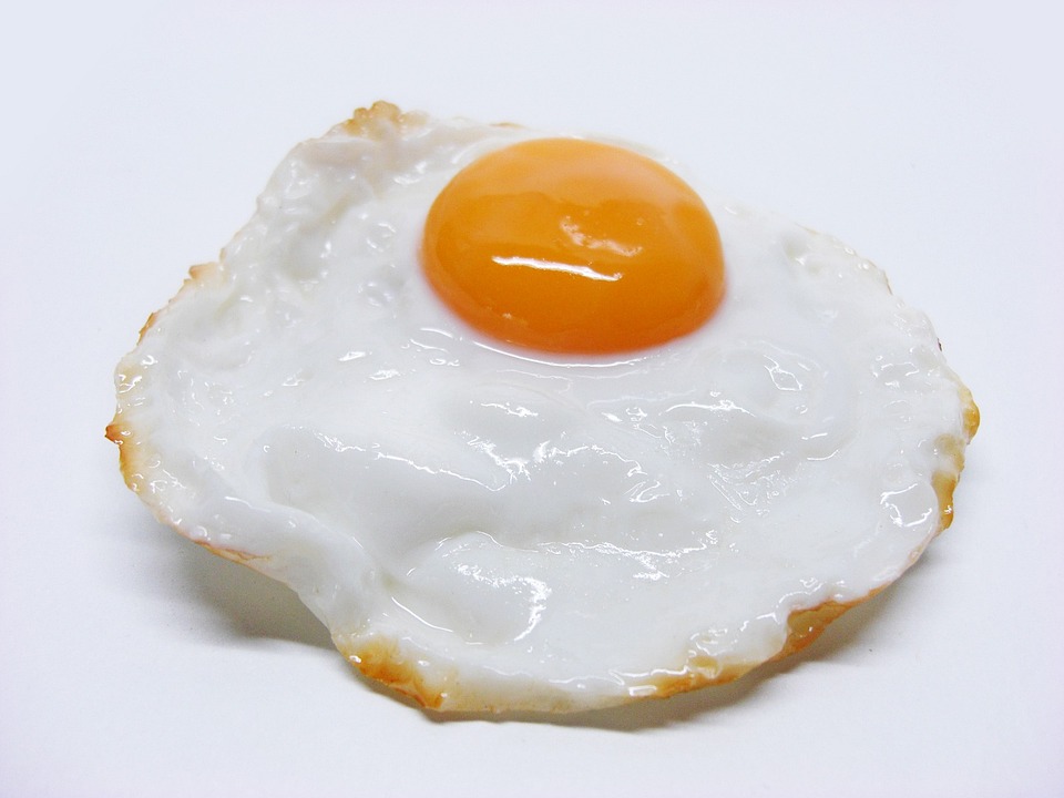 fried egg white background