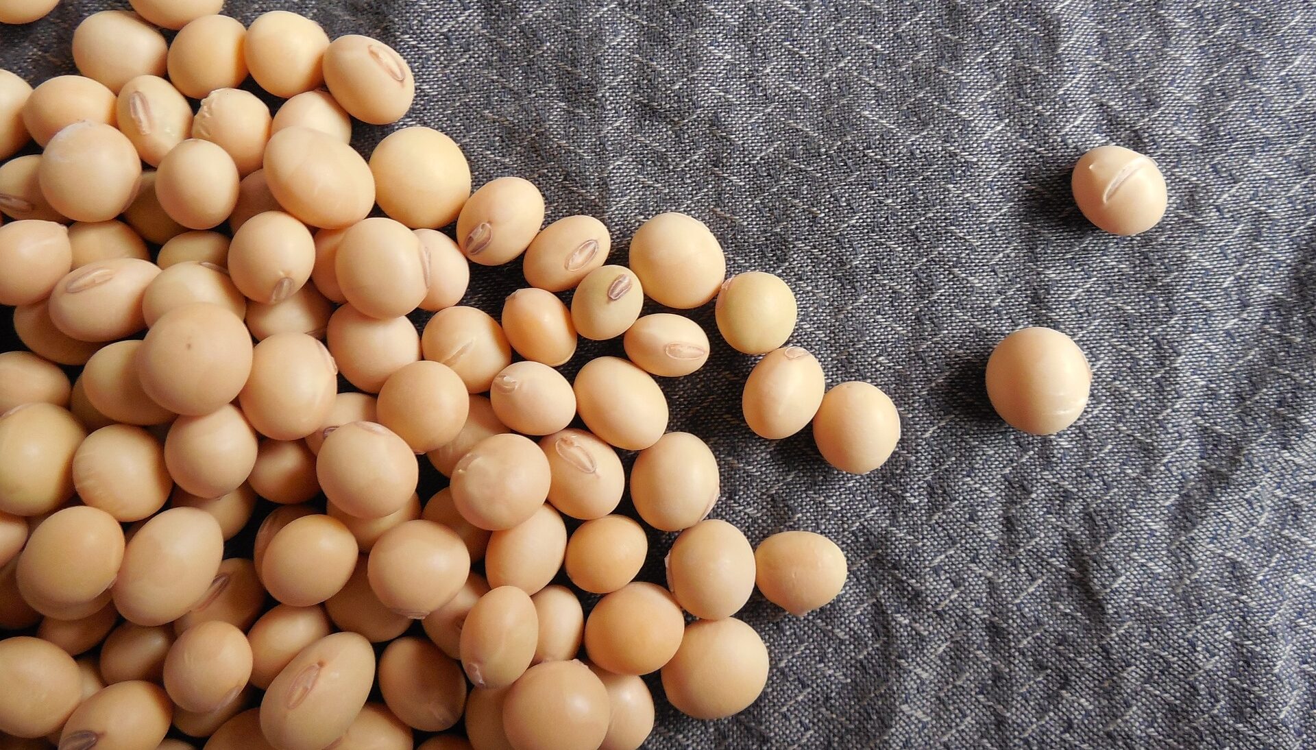 soybeans on table