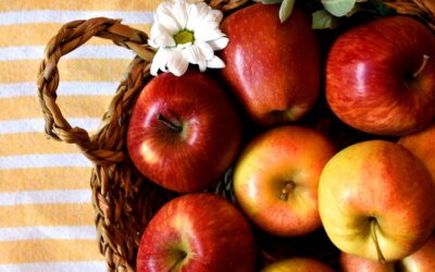 Top 15 Fall Fruits + Their Benefits