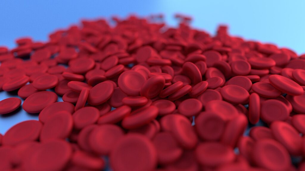 a close-up of red blood cells