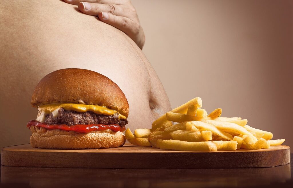 large male stomach and hamburger and french fries infront